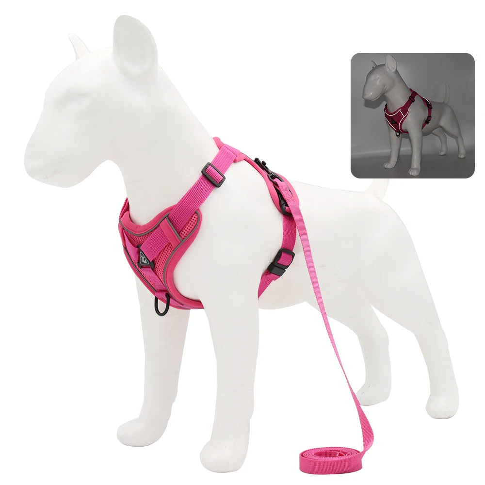 Harnais Puppy Adventure Ease – Image 5