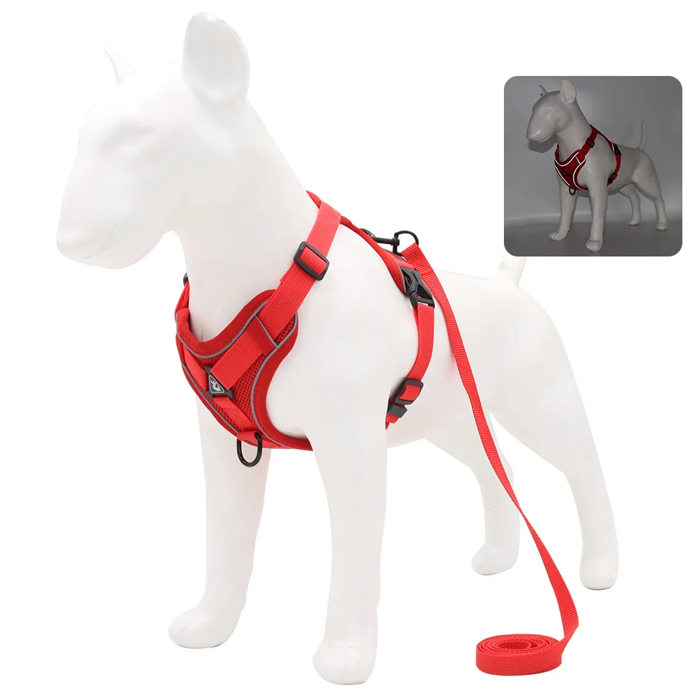 Harnais Puppy Adventure Ease – Image 4