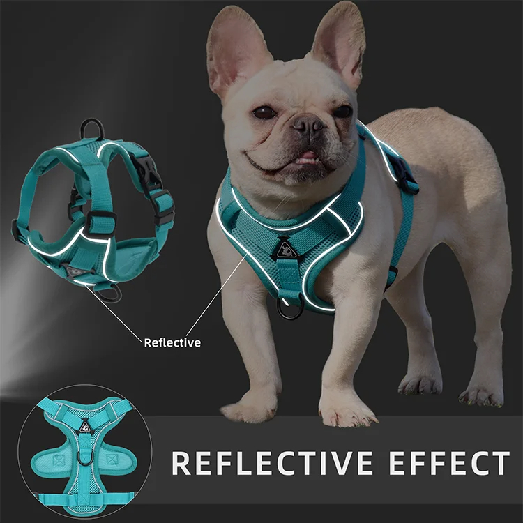 Harnais Puppy Adventure Ease – Image 7