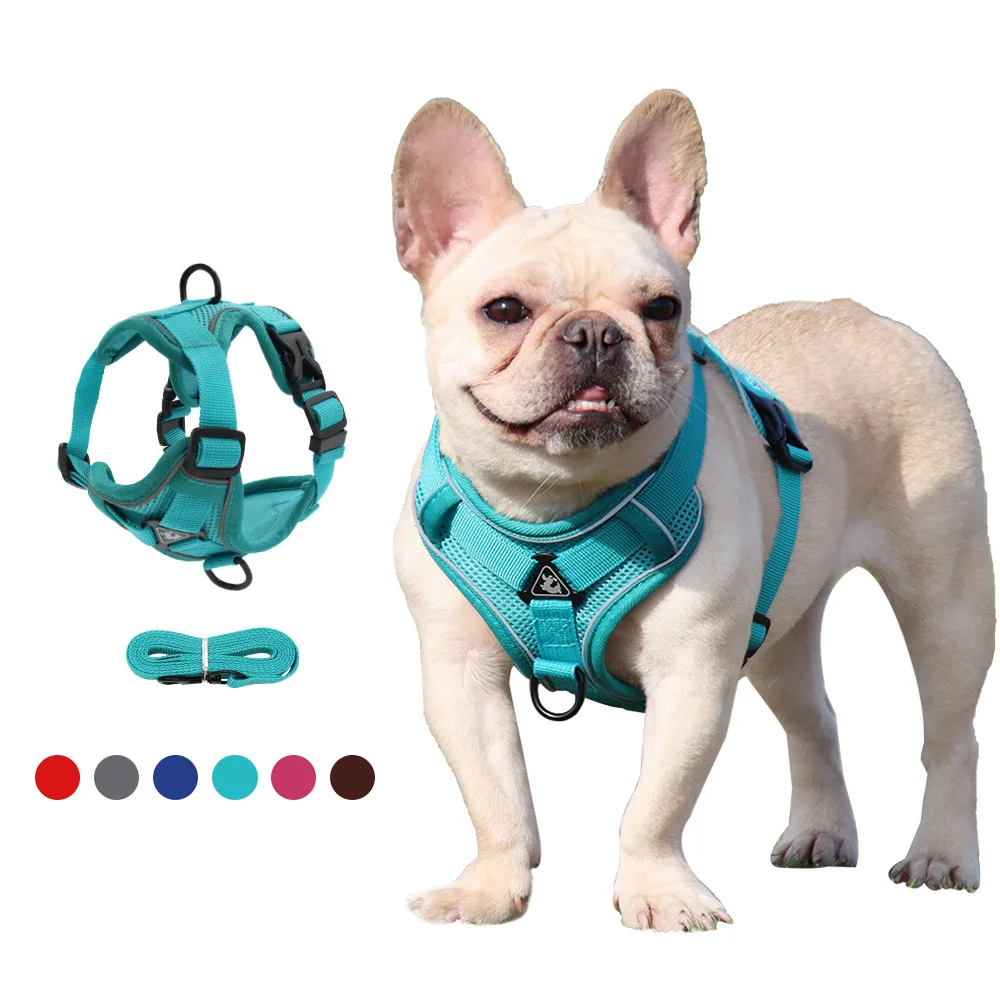 Harnais Puppy Adventure Ease