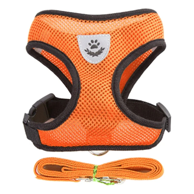 Harnais Puppy Light – Image 3
