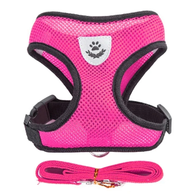 Harnais Puppy Light – Image 2