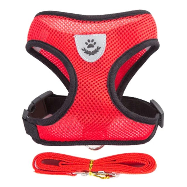 Harnais Puppy Light – Image 5