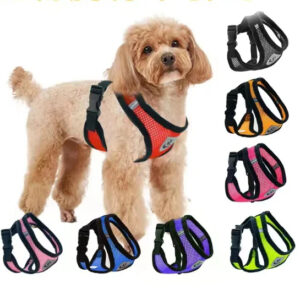 Harnais Puppy Light