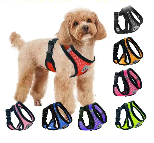 Harnais Puppy  Light