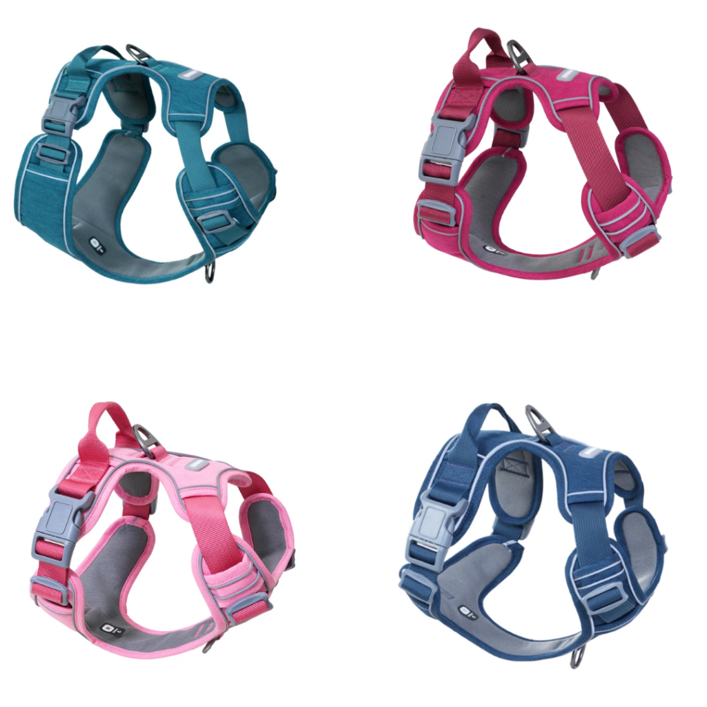 Harnais PAWAII Safewalk dog
